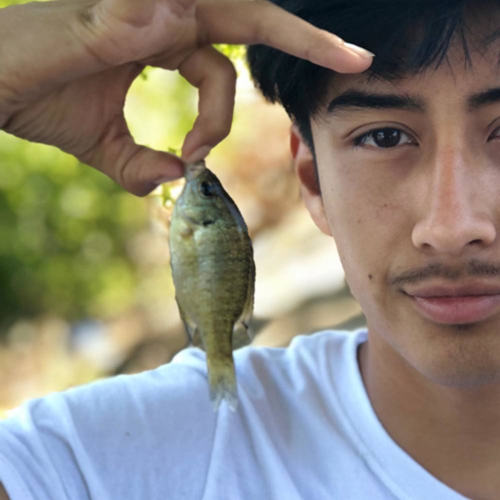 Meet your Posher, Marc anthony